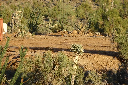 Aug07 plot leveled