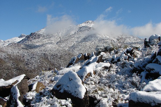 Snowy Mountains