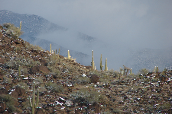 Desert snow